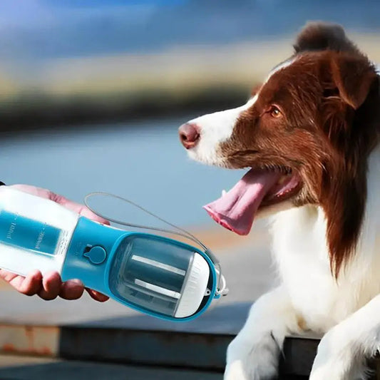 10 Must-Have Essentials for New Pet Parents