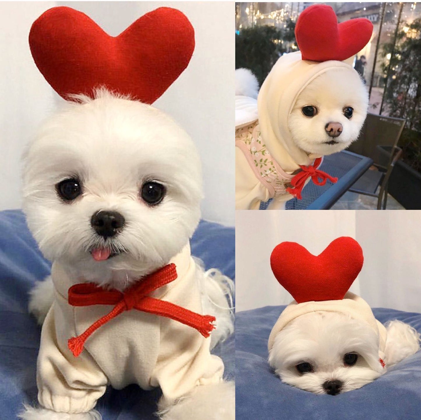 Cute Fruit Pet Clothes/Hoodie