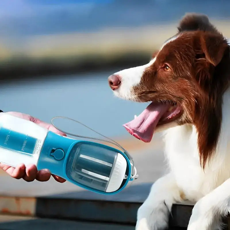 Pet Three-in-One Portable Cup for Feeding and Drinking