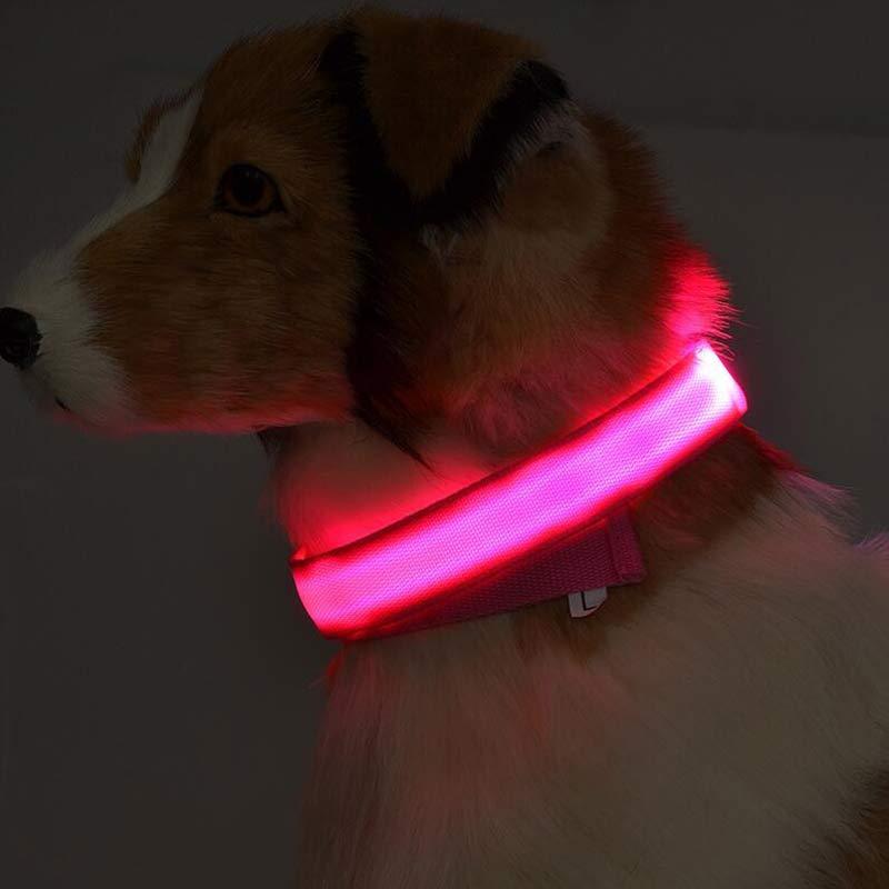 LED Pet Luminous Collar