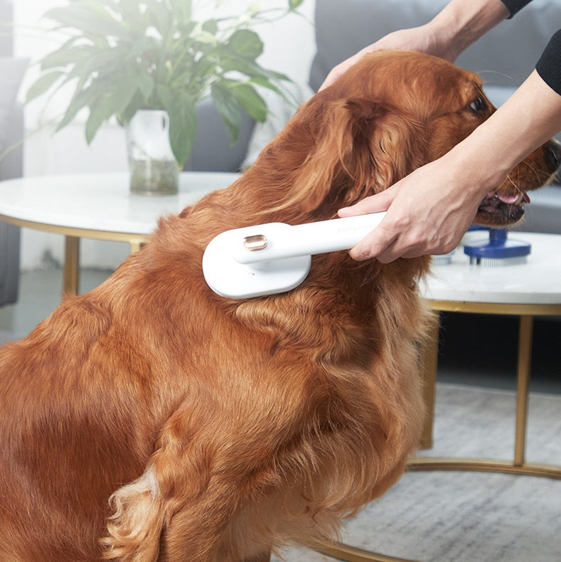 Pet Comb To Remove Floating Hair