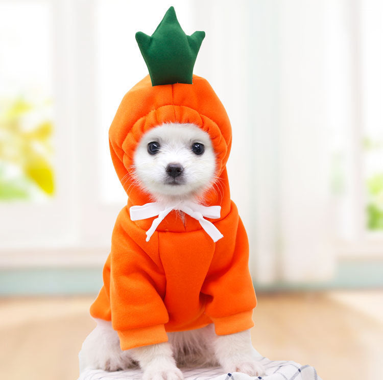 Cute Fruit Pet Clothes/Hoodie