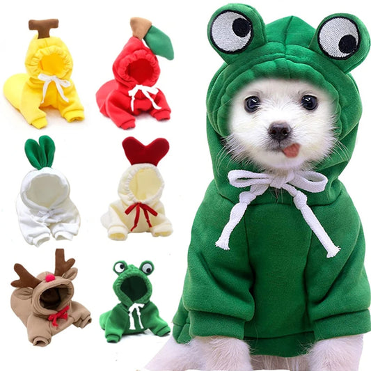 Cute Fruit Pet Clothes/Hoodie
