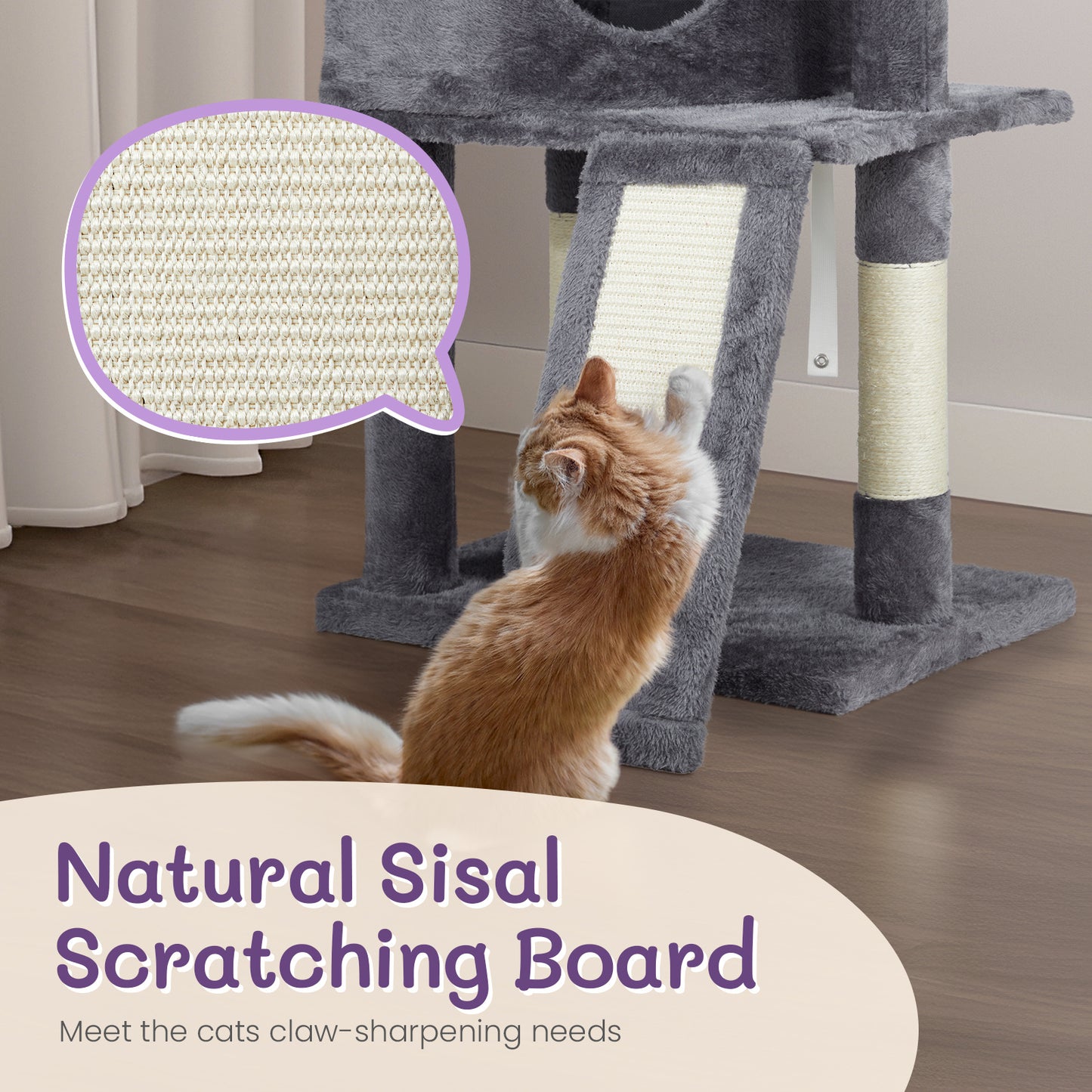Cat House